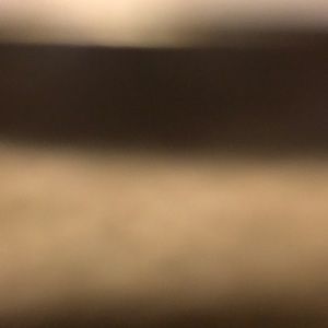 Meet your Posher, Phillip